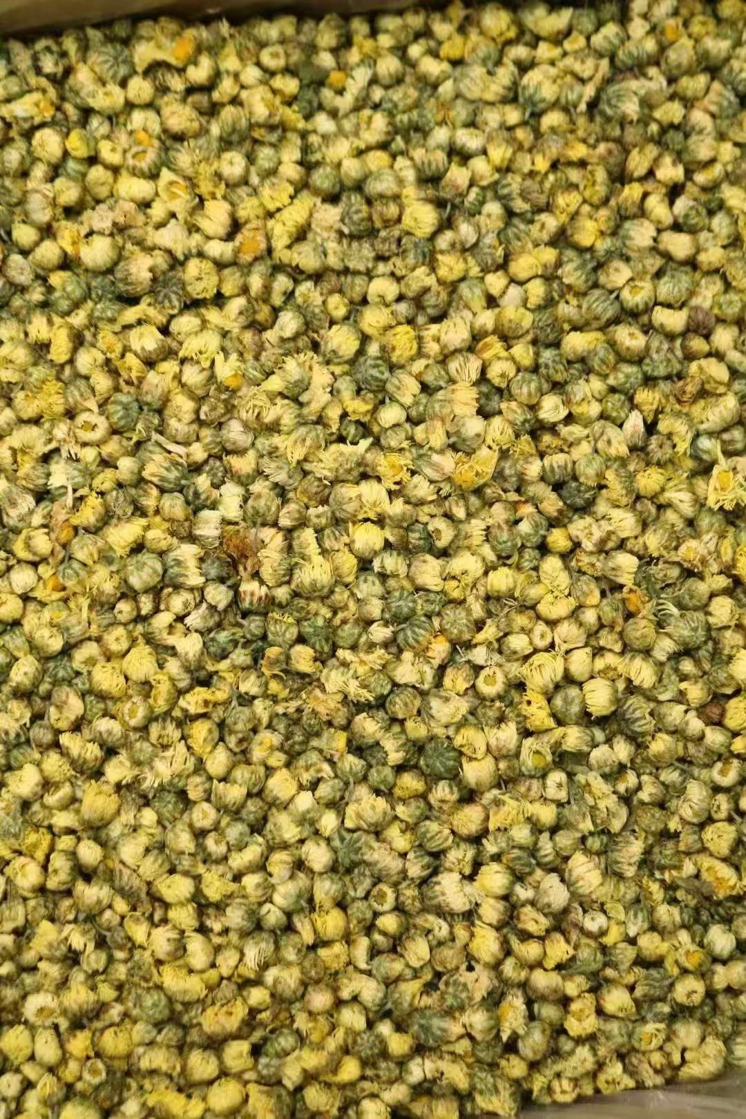 【霞姐推荐】长白山 原产地 胎菊花 