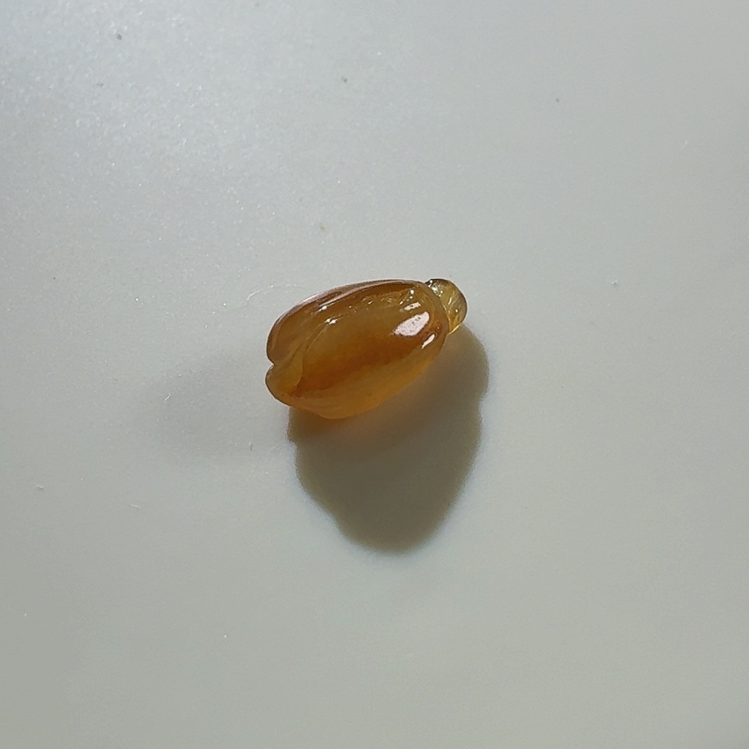 翡翠颈饰未镶嵌兰花