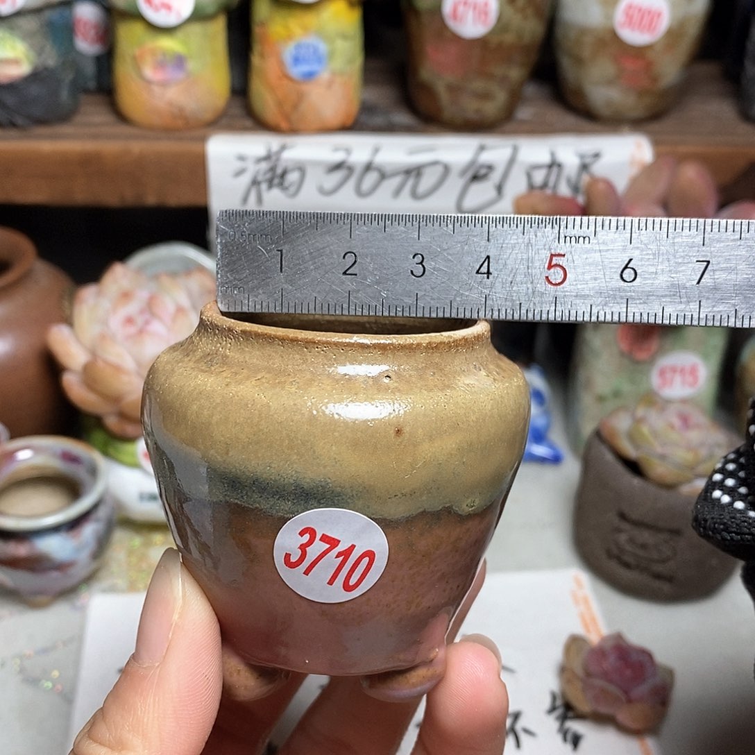 红陶拍5送一个小