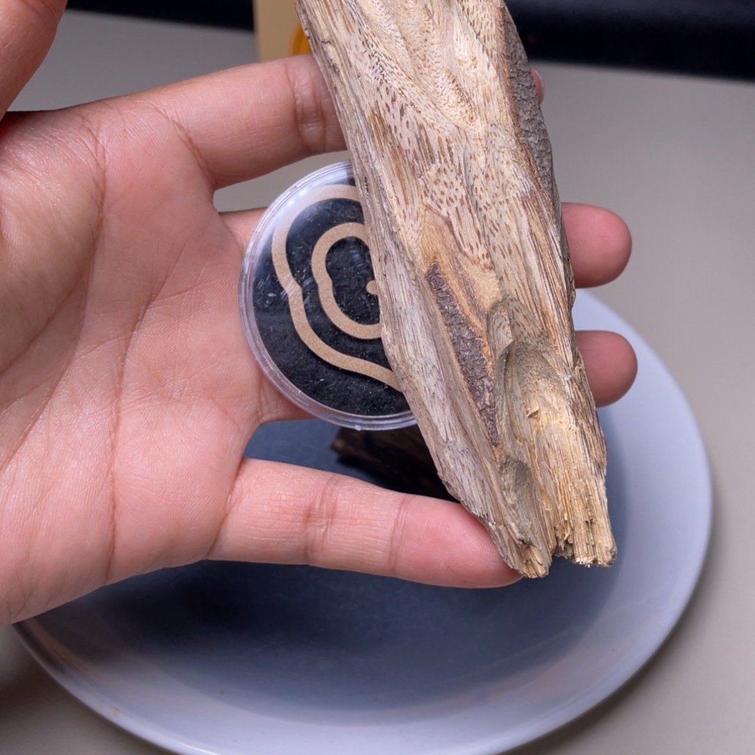 香榧木海南竹木根雕木料15克