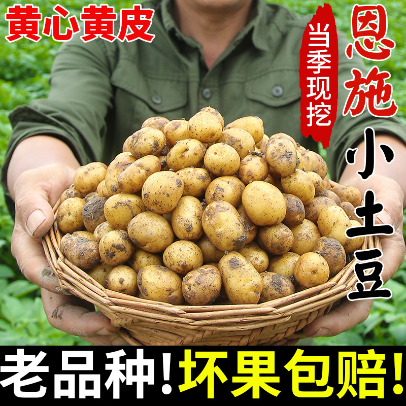 恩施小土豆湖北高山硒土地新鲜现挖糯香甜炕土豆烤土豆整箱包邮商品图