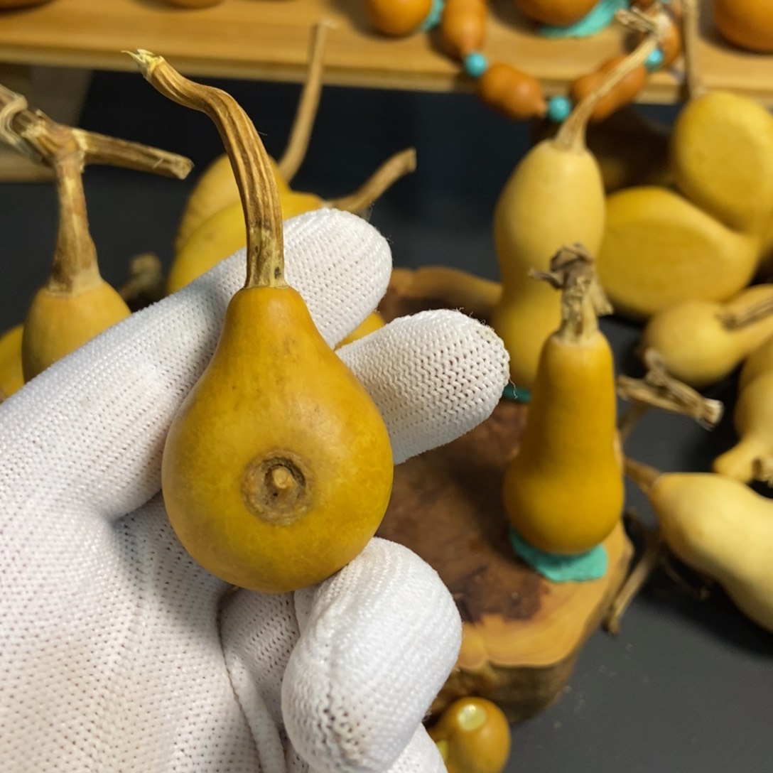 酒**子葫芦葫芦真的