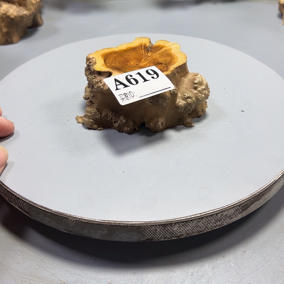 龙***哥大果紫檀（缅甸花梨）