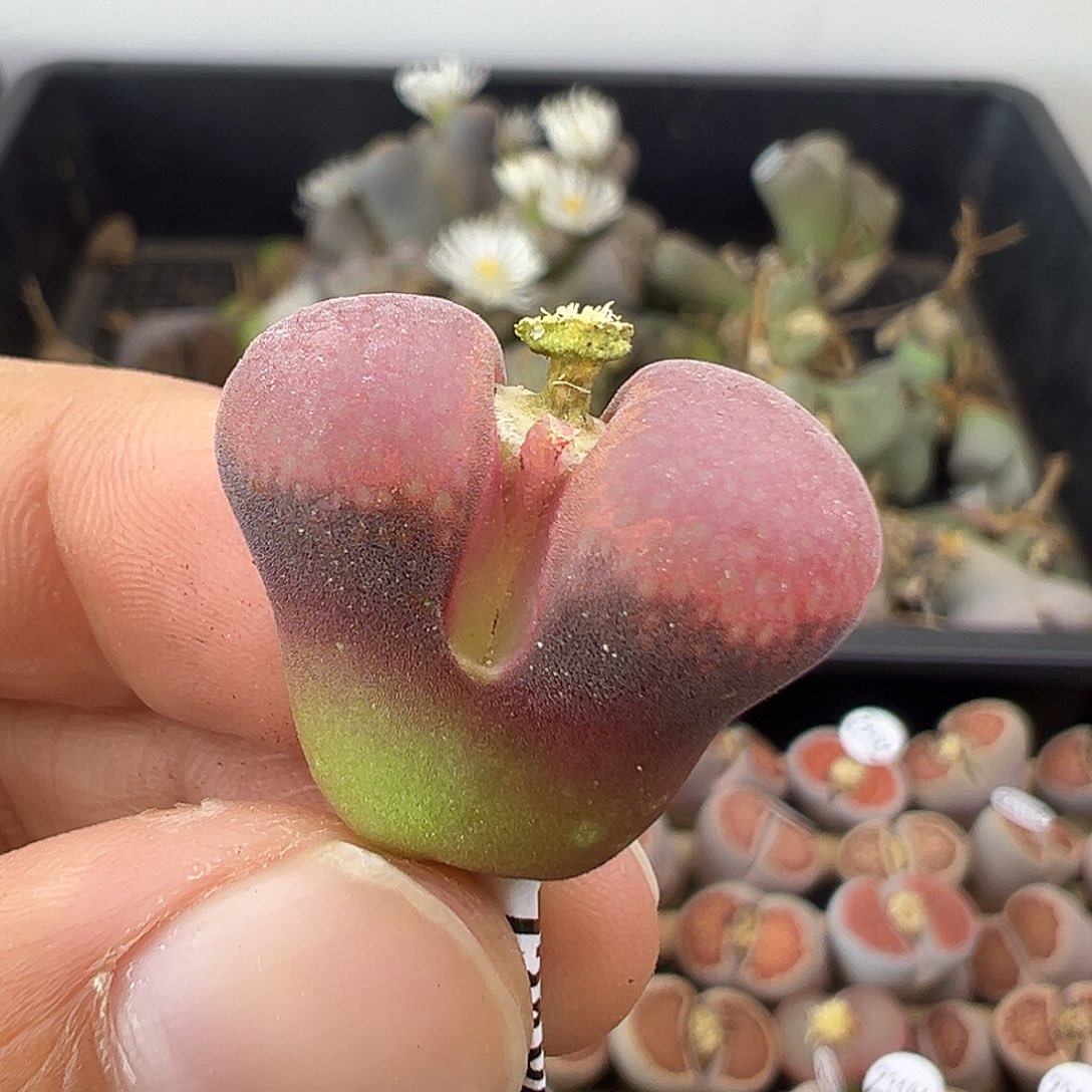 3180福利清111111111111111111