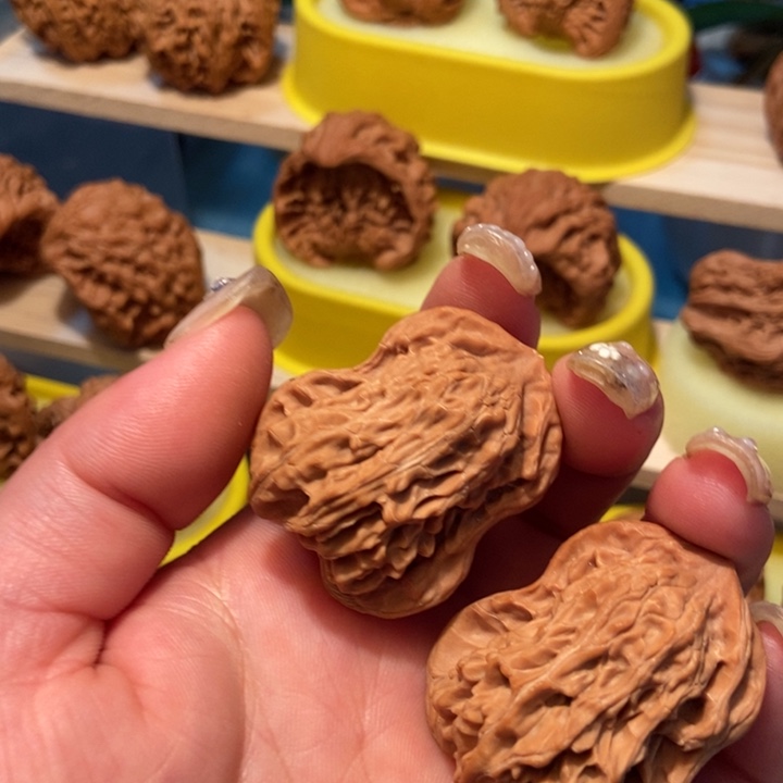 官方网站发布消息显示