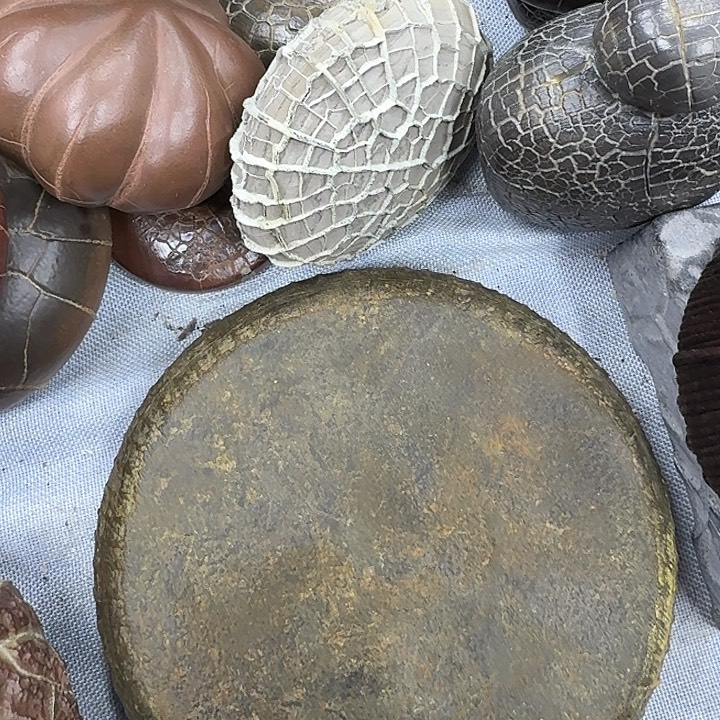 湖***涂石材龟纹石最低哥