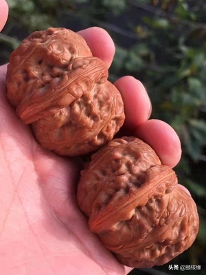 随机文玩核桃一对