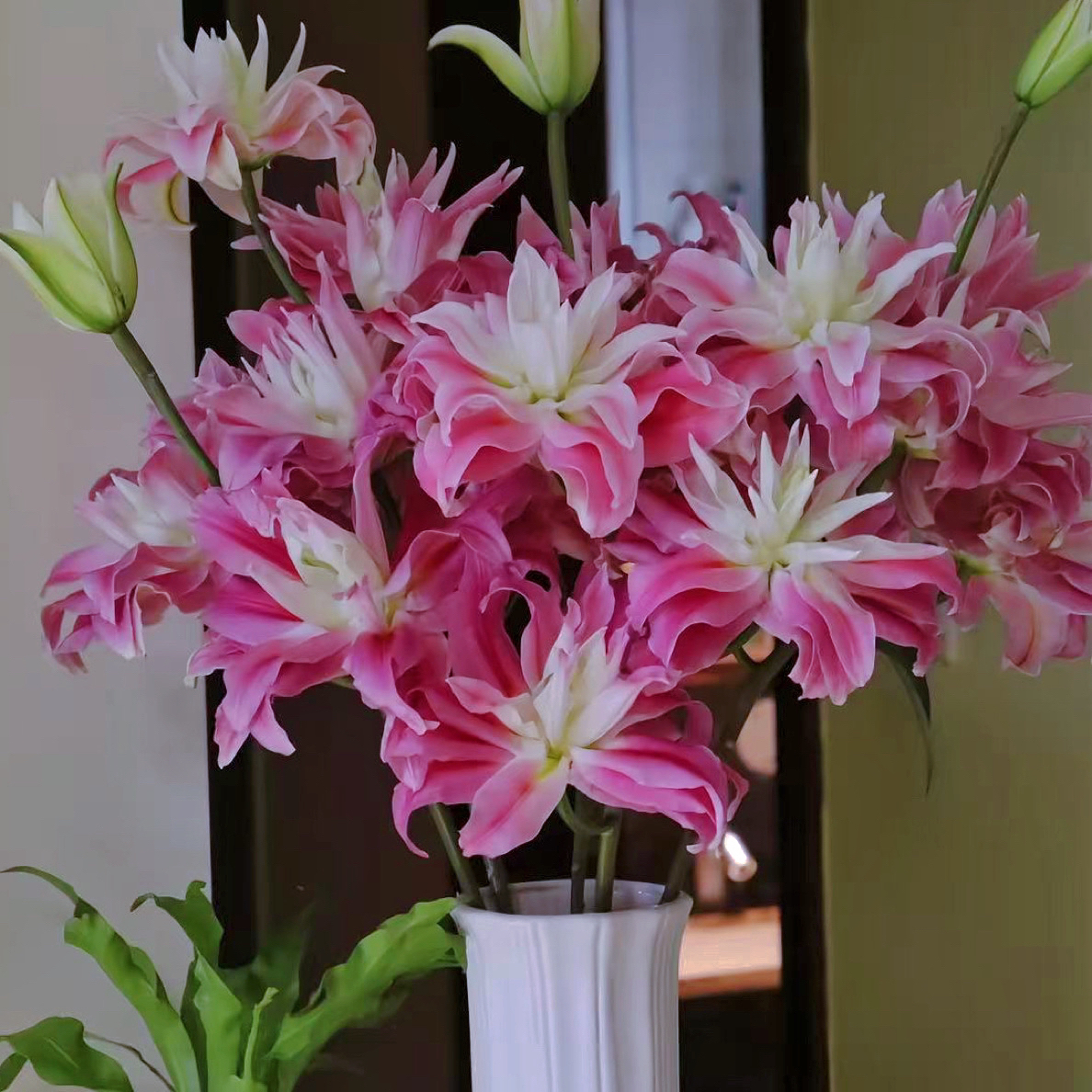 红丝带重瓣百合花（子弹头小花包品种）地区香味颜色会有差异