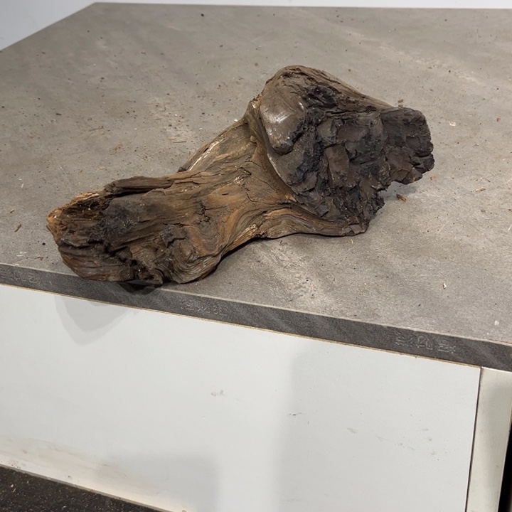 有***刚柏木崖柏等自然景和自然风光为