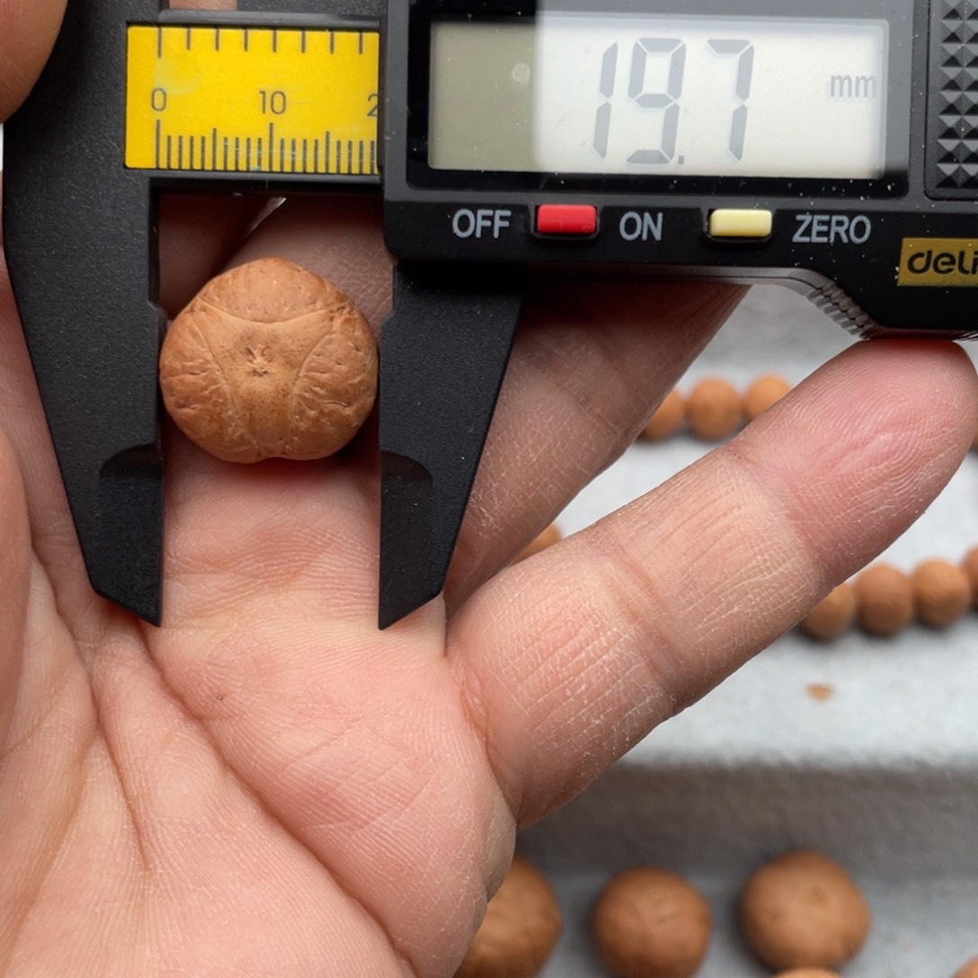 凤眼菩提手串开播福利龙眼