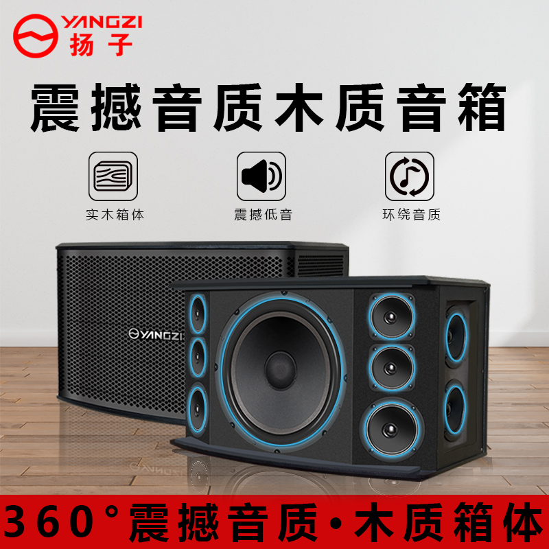 专业KTV卡包音响家用家庭影院舞蹈健身舞台演出户外会议专用木质