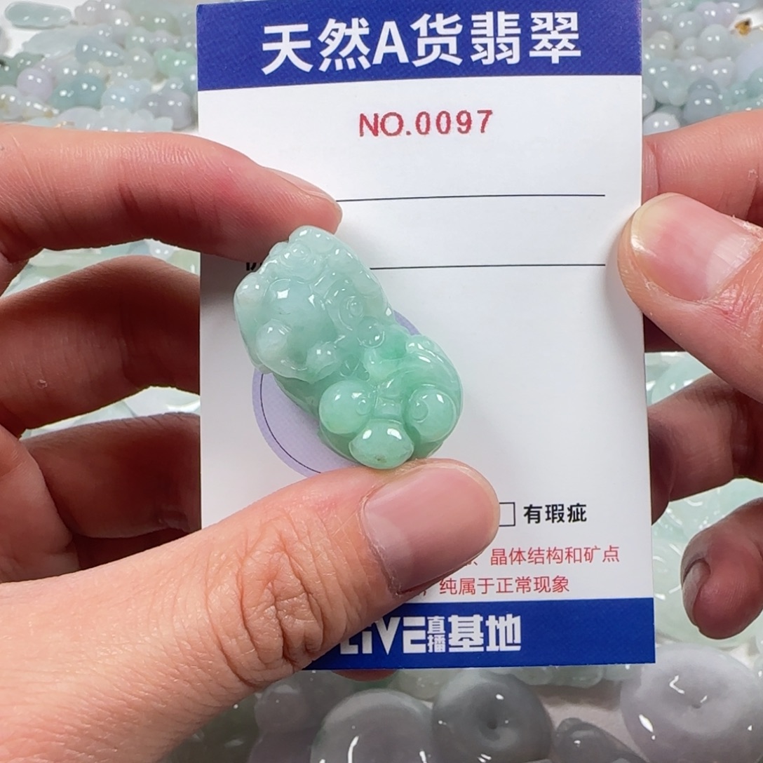 翡翠未镶嵌颈饰97