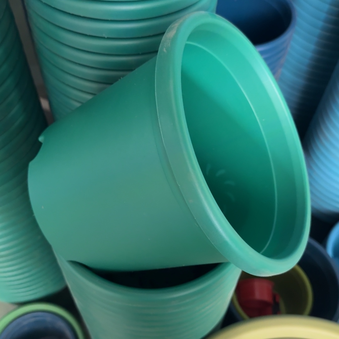 特价4号祖母绿8个无拖