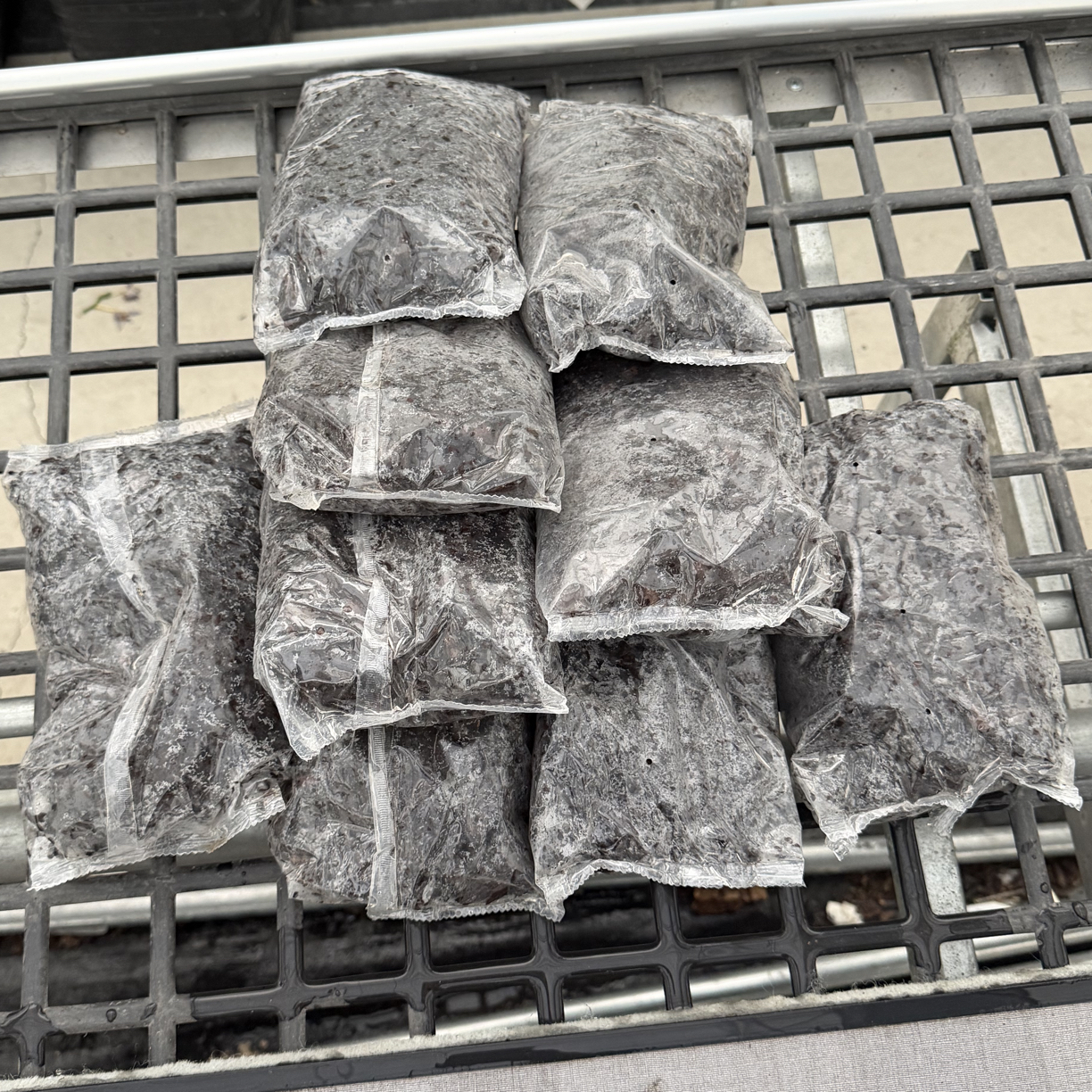 新西兰进口两大包树皮