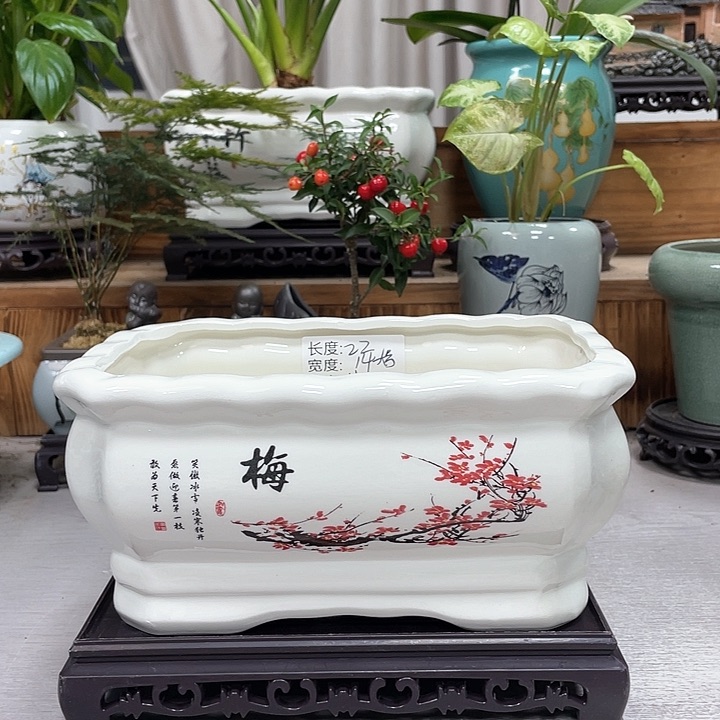 陶瓷花盆抢购福利活动