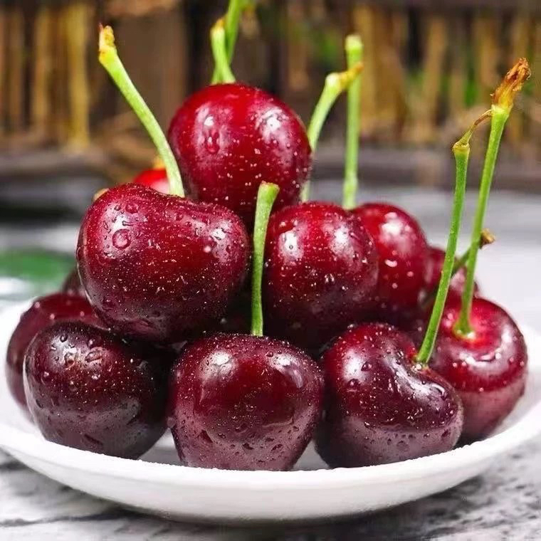 【精品】大连露天美早大樱桃顺丰全国