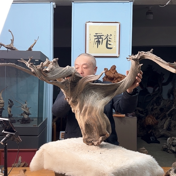 柏木阿*我们的生活也是如此的丰富多彩啊