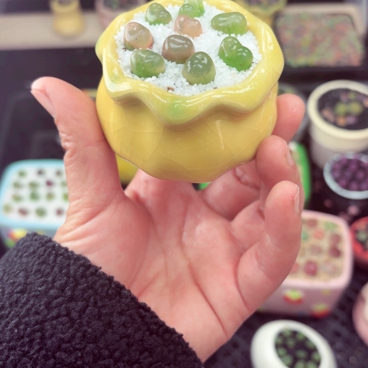 512零下地区记得拍保温箱满18包邮