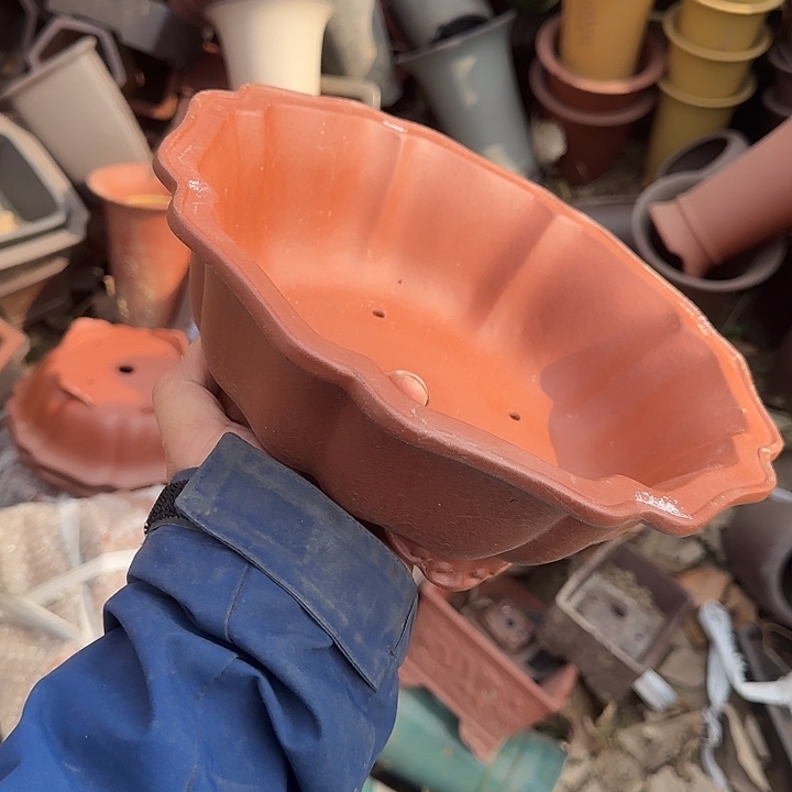 ｕ……这就是所谓一群小鲜的生活状态了