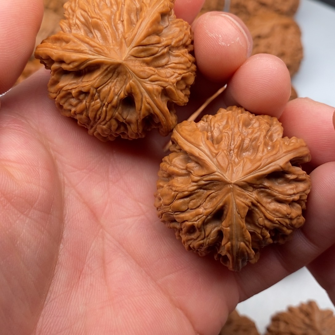 文玩核桃把件42三棱