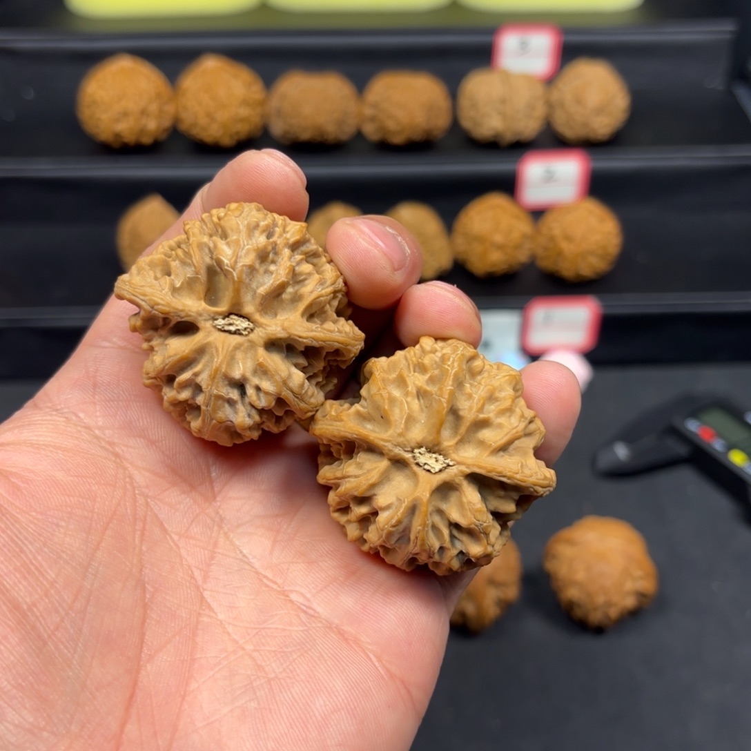 把件文玩核桃43*40*37苹果园