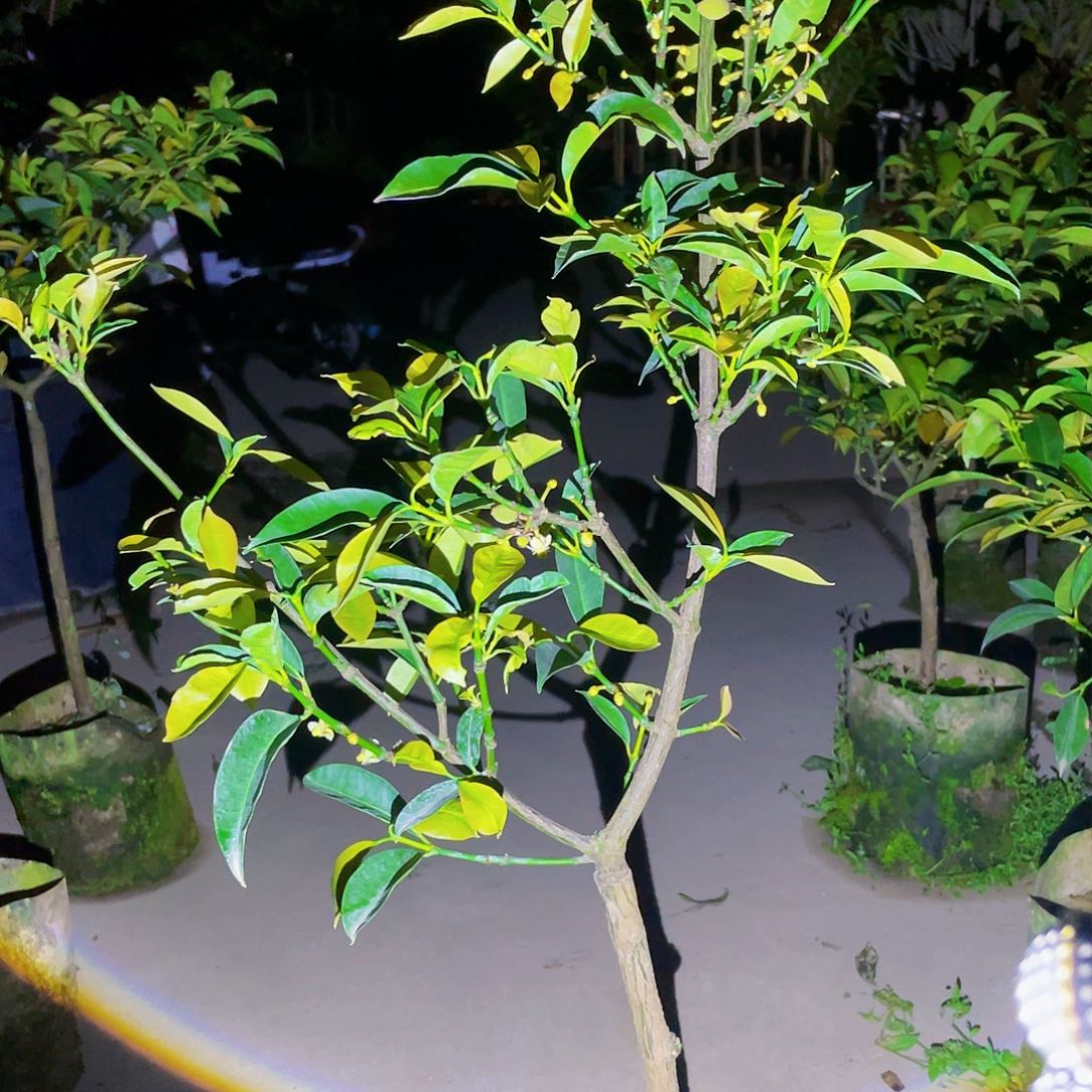 完全开放农***记g m 8888888888888