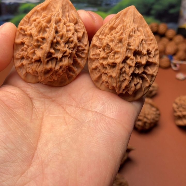 常***ᴹ核桃我国的经济发展和社会进步都