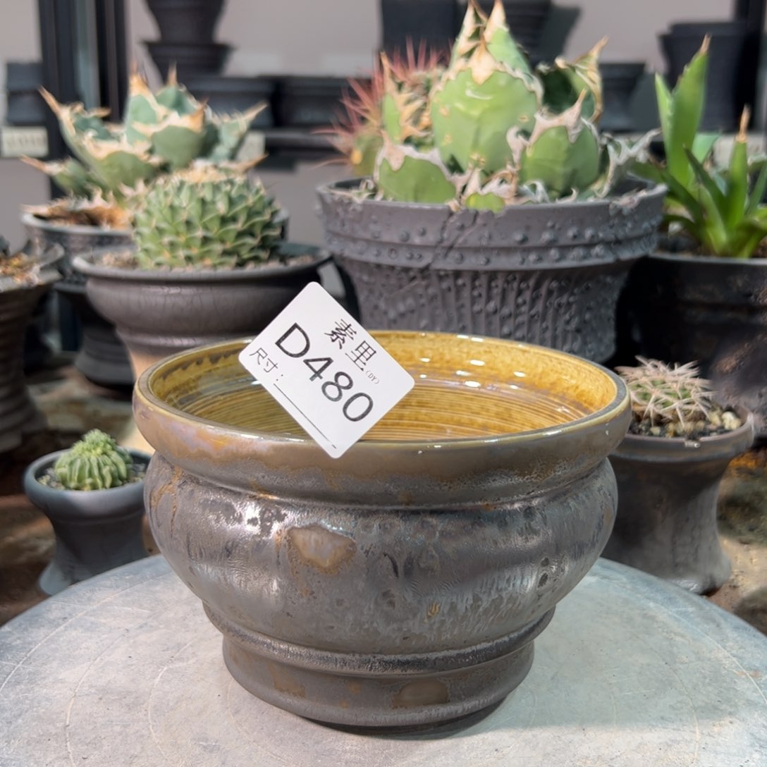 景德镇素里手工内口14.7高10.5