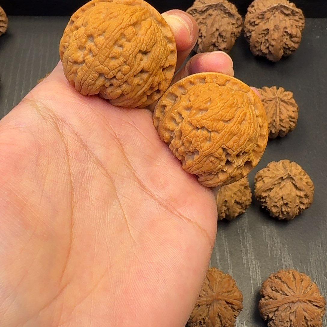 核桃突突突突突突突