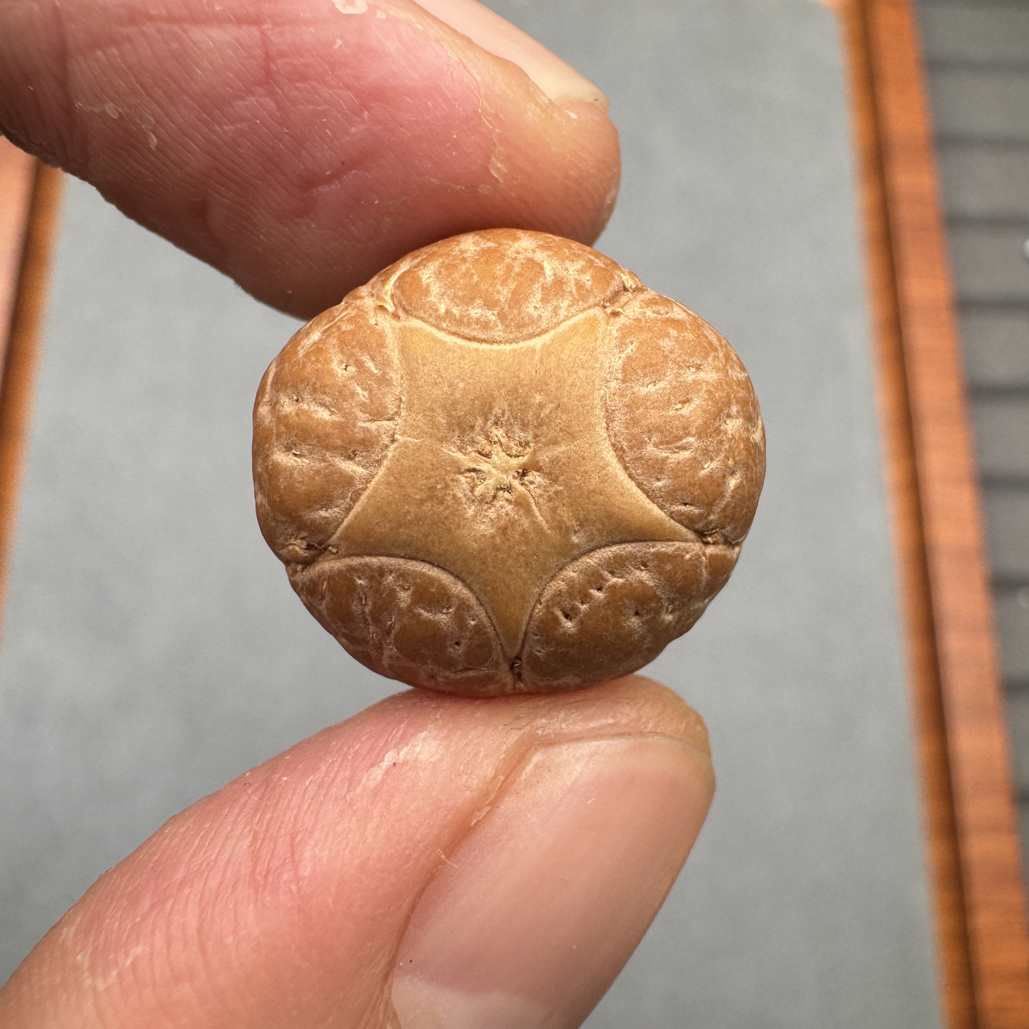 20+尼泊尔梅花五星上将菩提凤眼三通佛头，非质量问题开孔不退