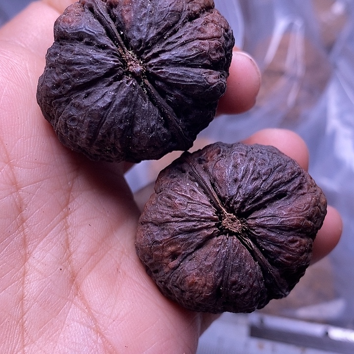 文玩核桃把件   148