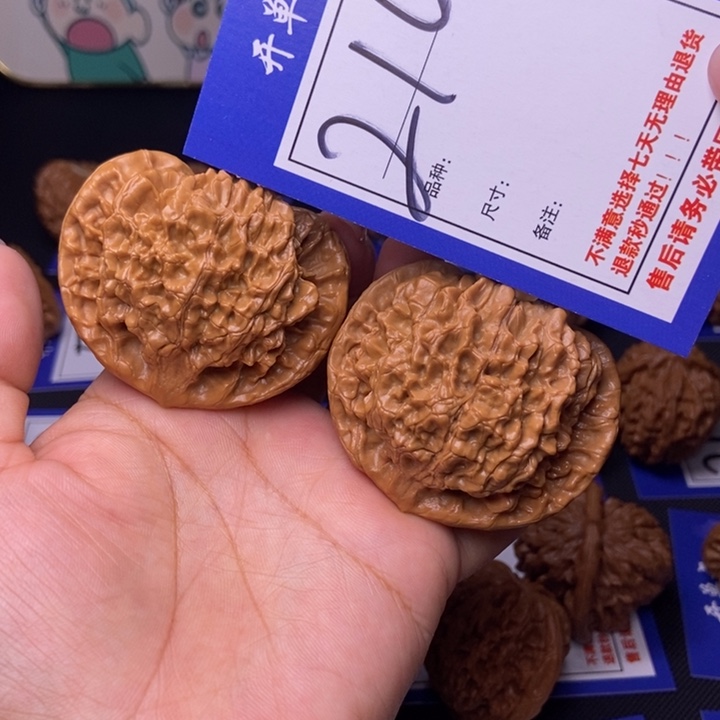 210号链接官帽5.1尺00000