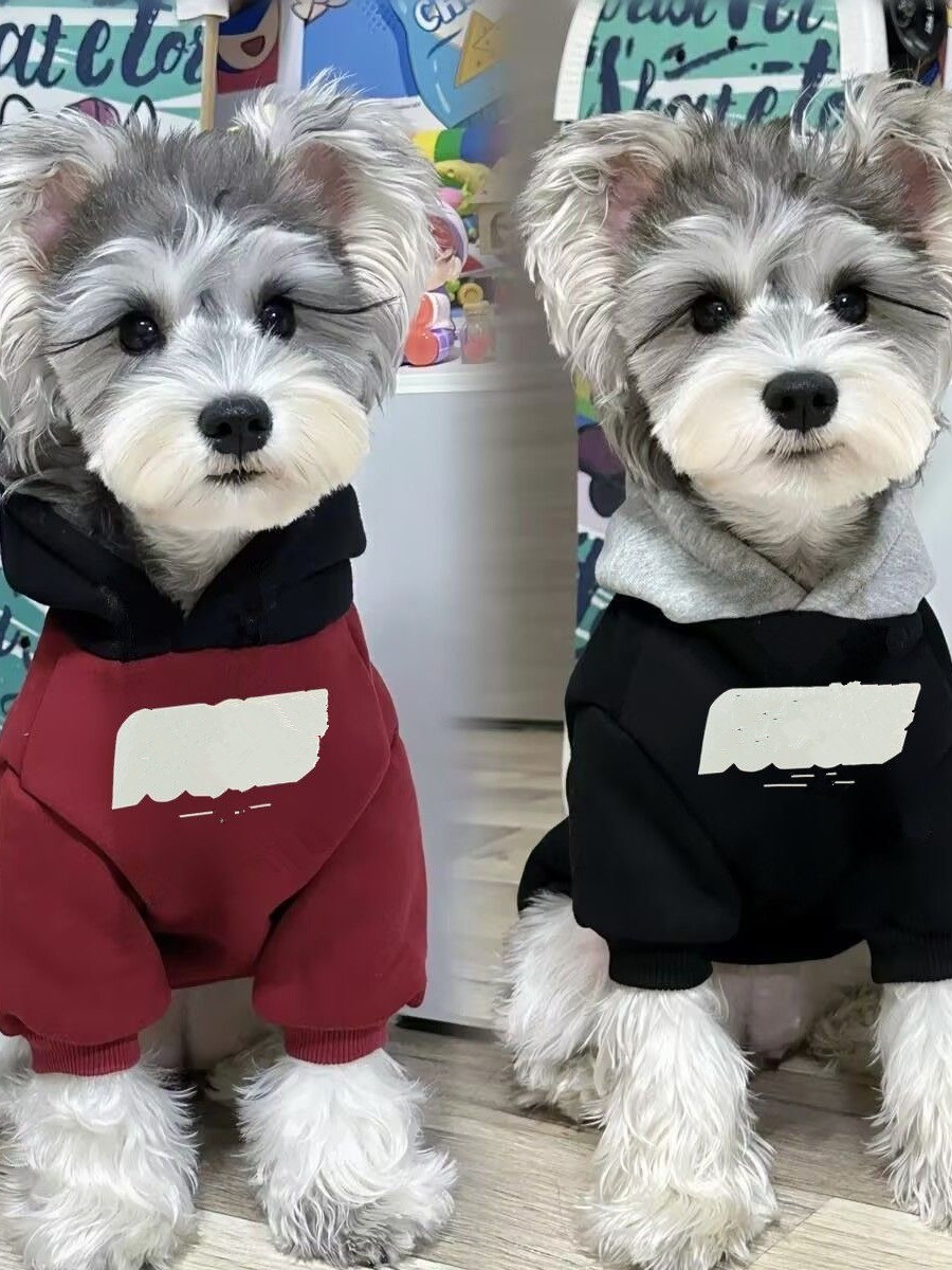 （直播间过款）宠物衣服狗猫服装D码