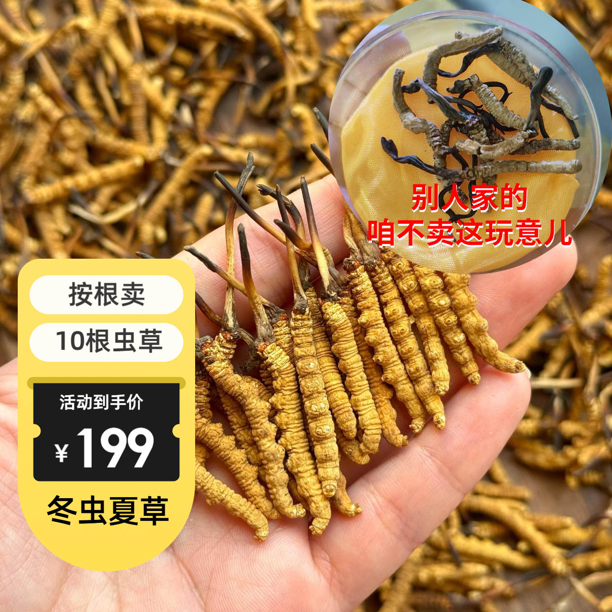 [十根虫草]正宗冬虫夏草正品高品质虫草头茬高海拔雪顶虫草1g3/4