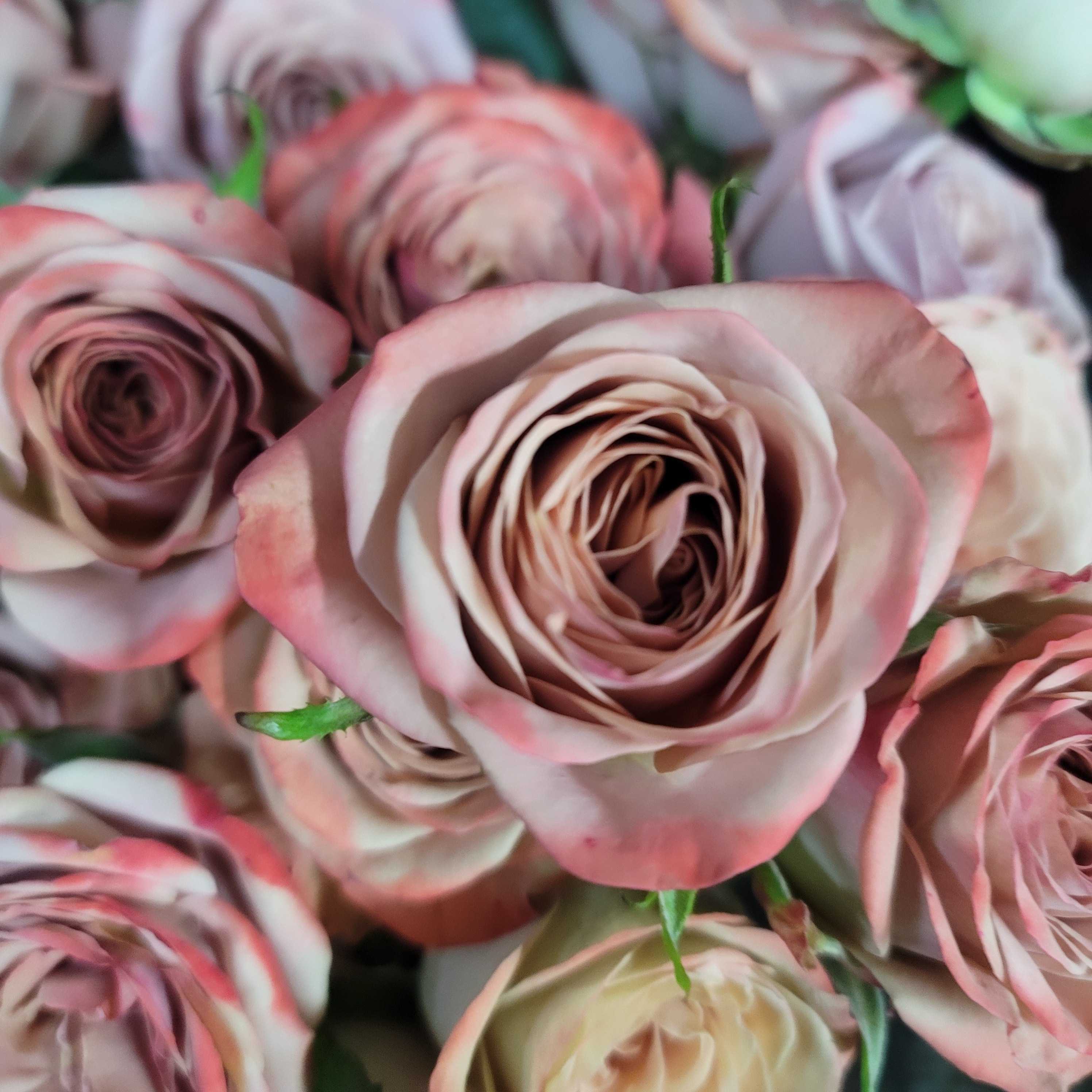 8枝加2枝防损高级别卡布奇诺玫瑰瓶插花日照同城速递