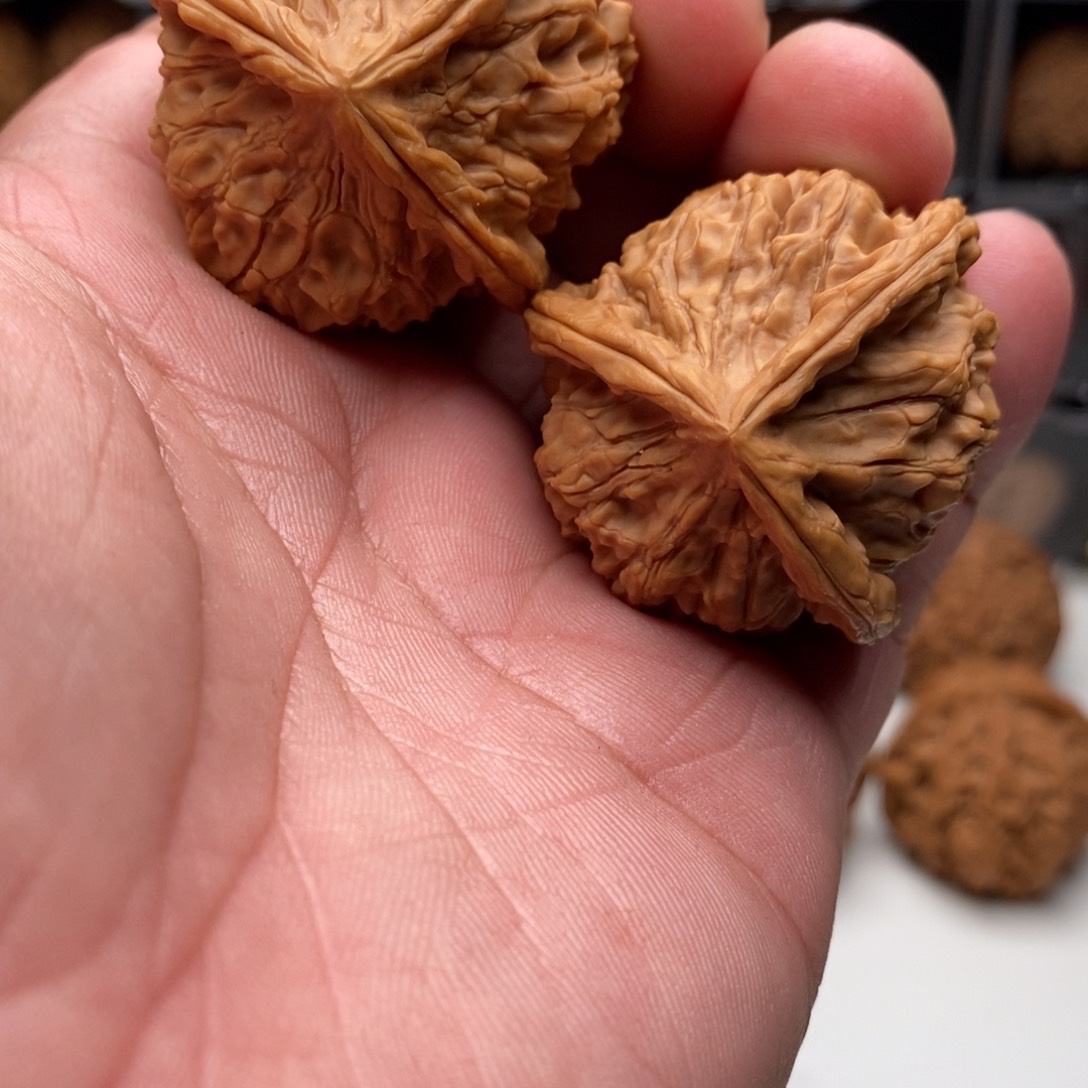 玉玺，人丁兴旺一对