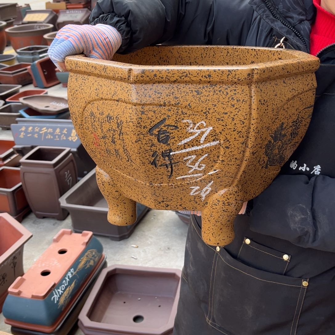 紫砂花盆盆景艺术