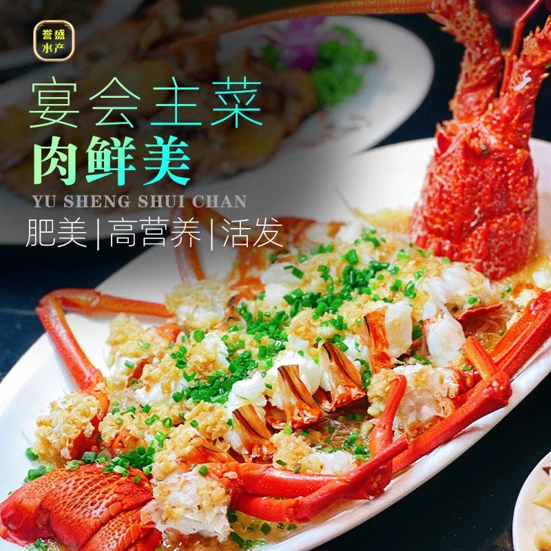 【绿框】一百以上不限购拍后退款必拉黑帝王蟹波龙澳龙金枪现称现卖