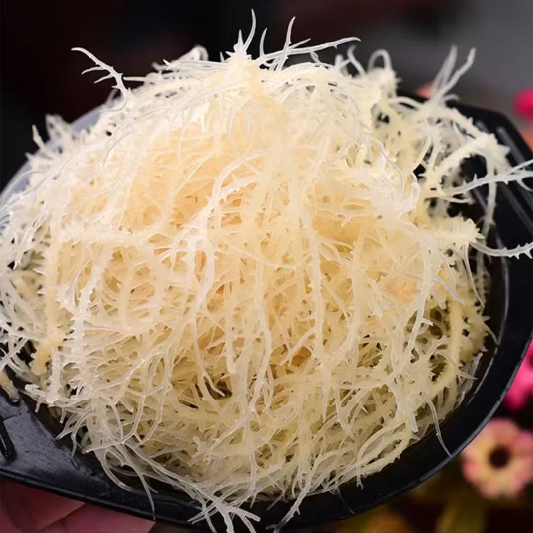 【小鱼儿】龙须菜 250克/包*6包 开袋凉拌即食海菜 口感爽脆