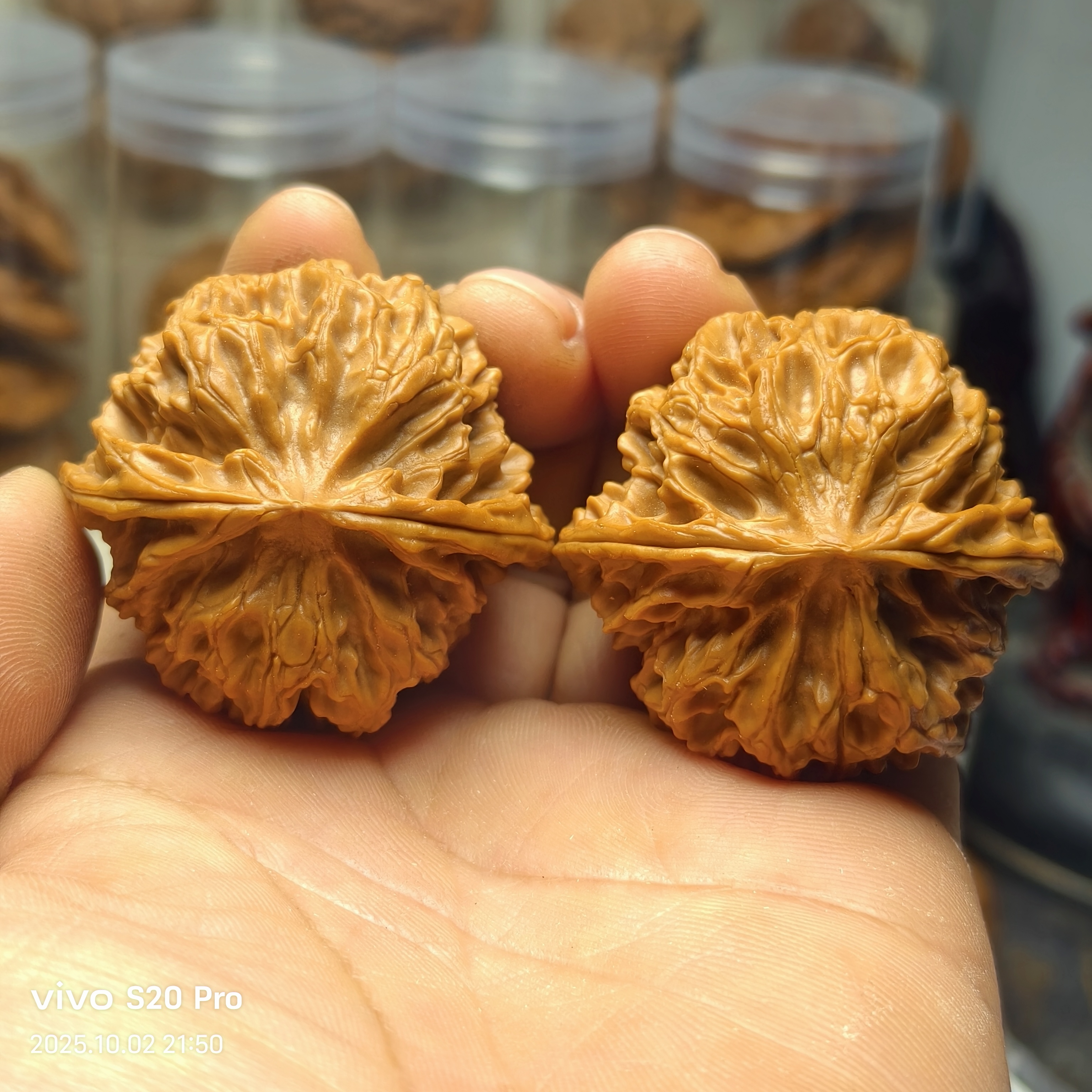 文玩核桃苹果园狮子头麒麟纹官帽麦穗文玩手把件男女通用