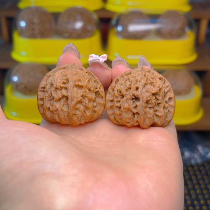 白狮子头三十七尺