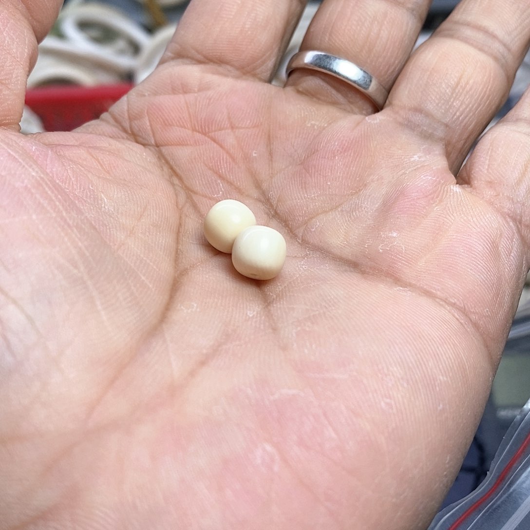 其他猛犸象牙染***丶