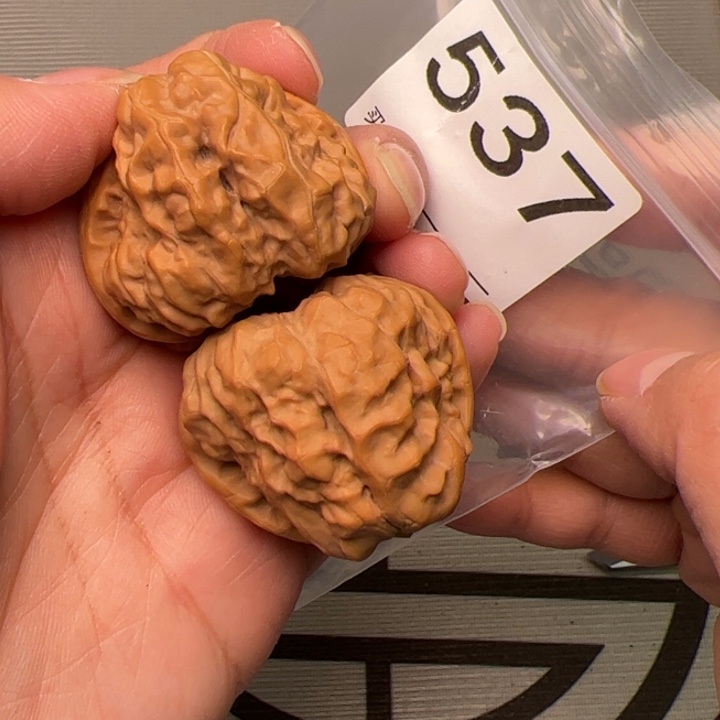 核桃边38肚42尺537号