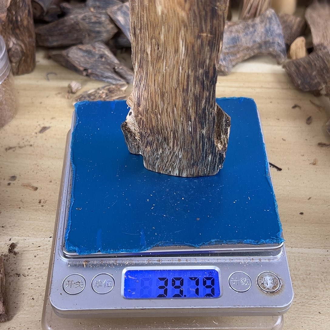 香料绿棋楠虫漏39克金沙叶