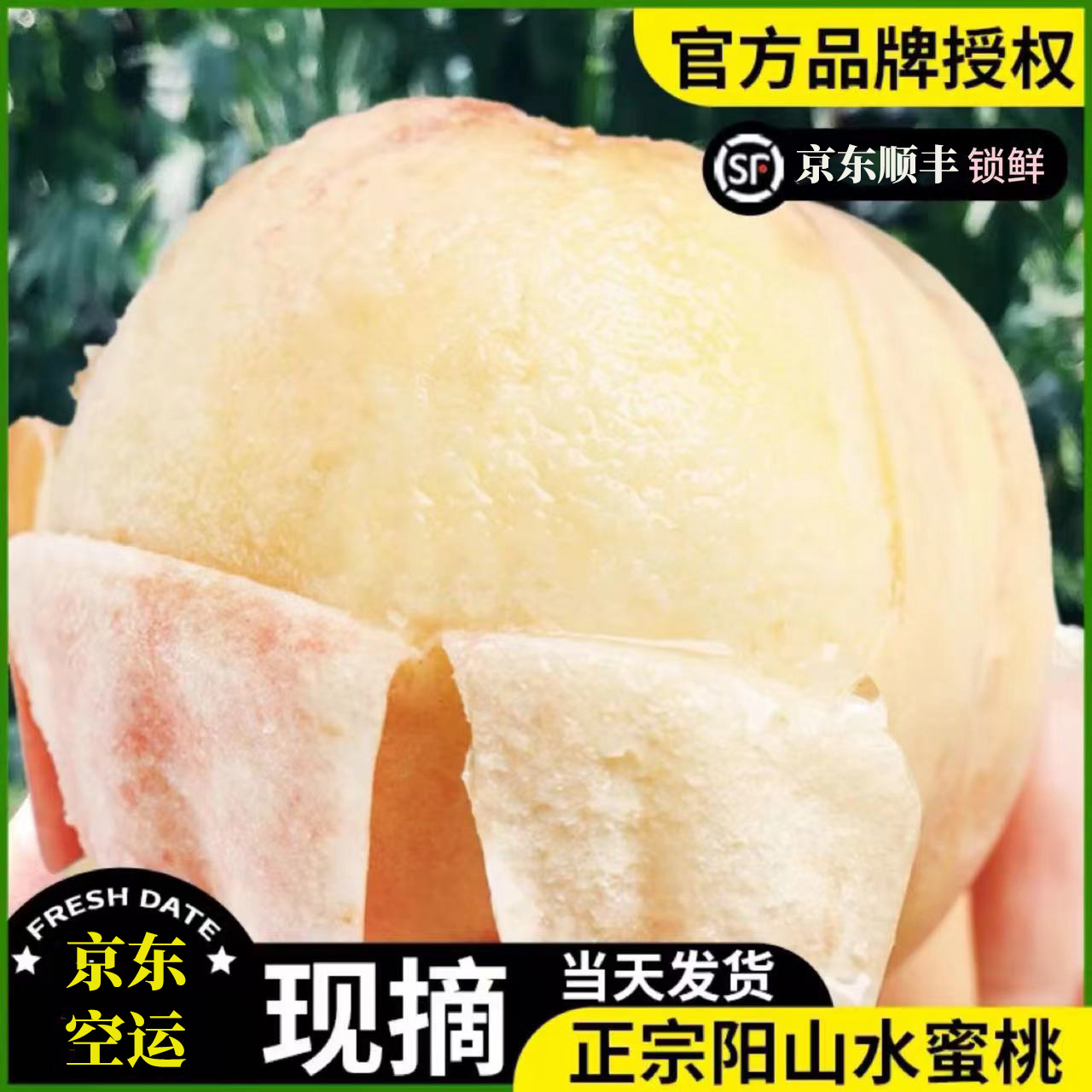 5-4两湖景蜜露尝鲜正宗阳山水蜜桃新鲜现采现发香甜桃子礼盒装