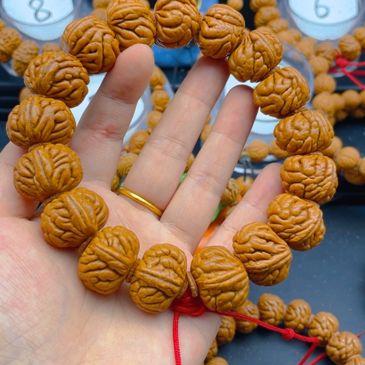 木质权权权权4霸王龙