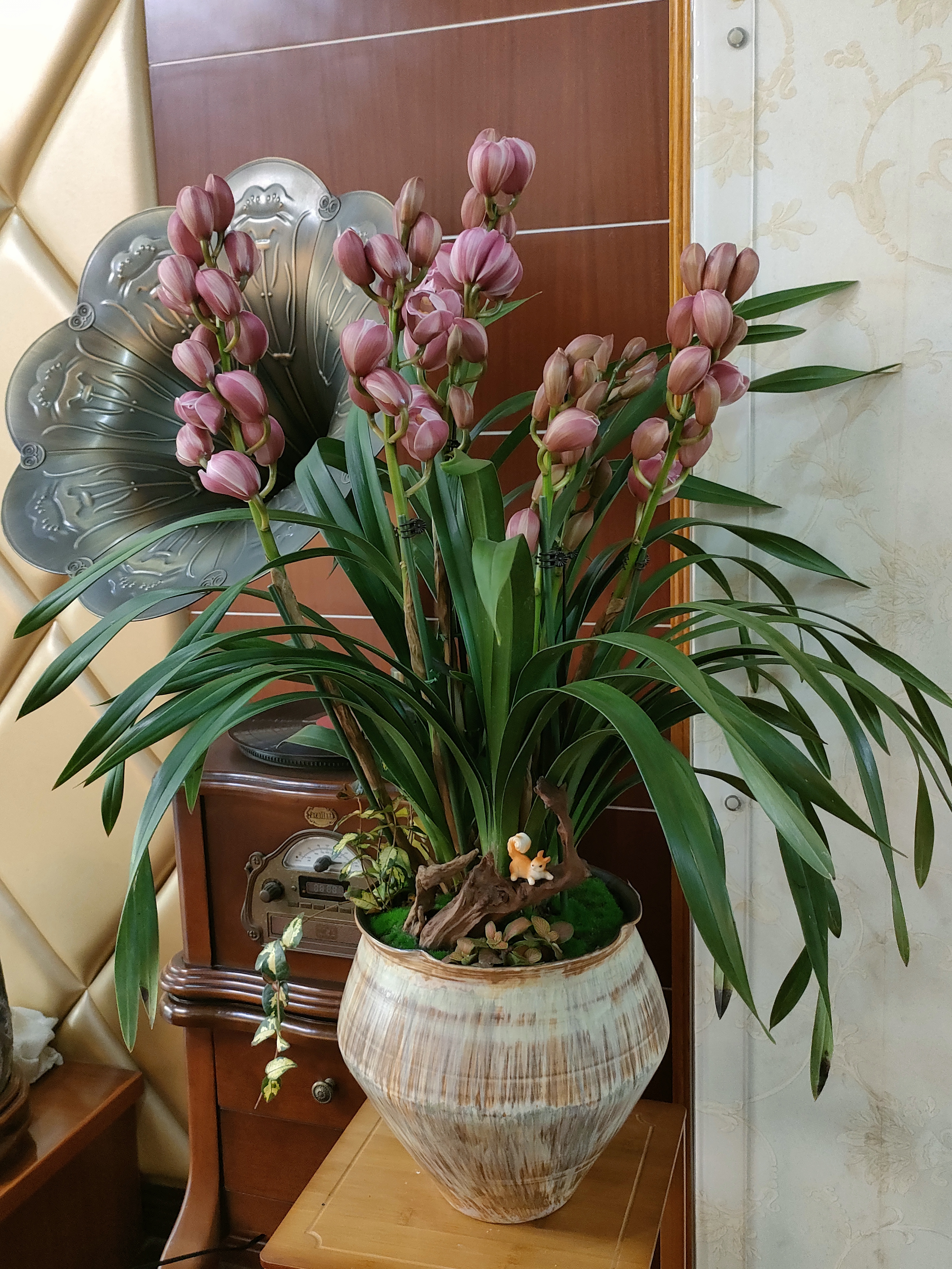 友仁盆栽北美冬青带红果花卉绿植盆栽春节家居年宵装饰摆件