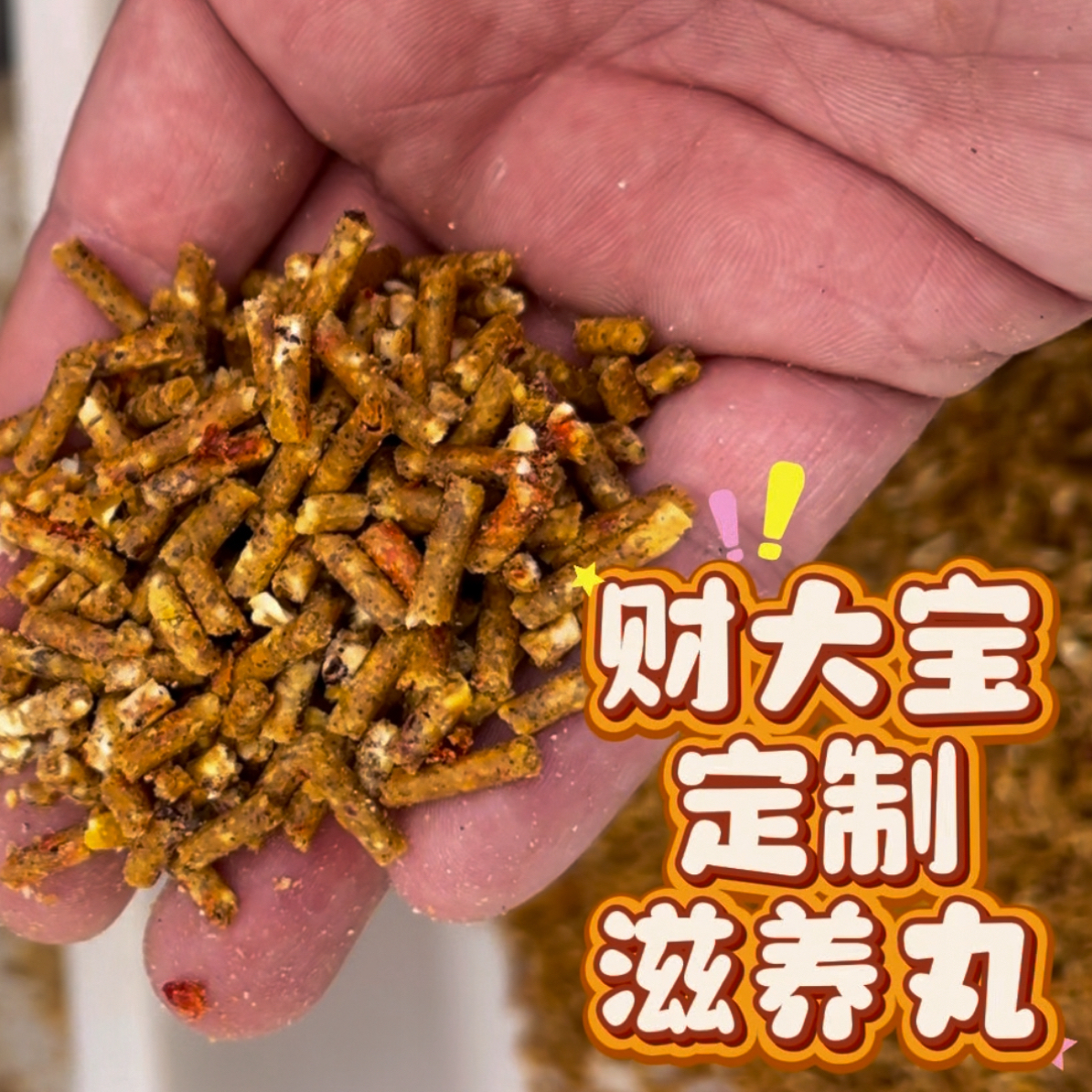 财大宝定制鹦鹉滋养丸粮食营养均衡一斤装