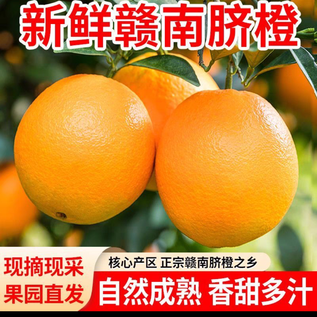 正宗江西赣南脐橙新鲜手剥甜橙子当季新鲜水果整箱赣州直发