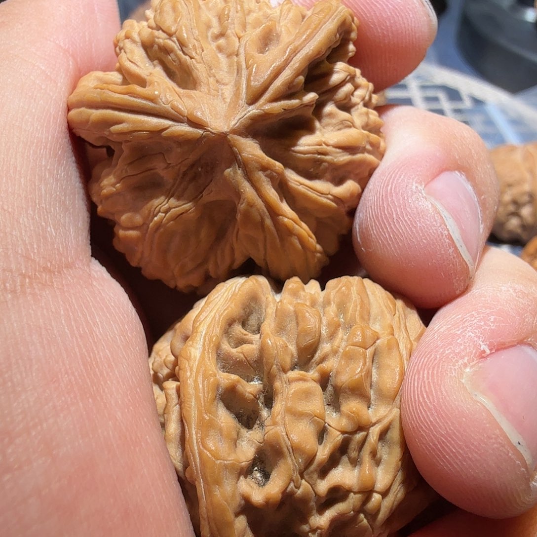 文玩核桃把件文山正奔